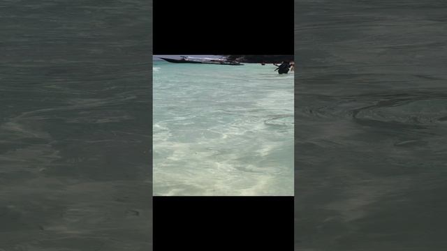 VID_20240720_115553