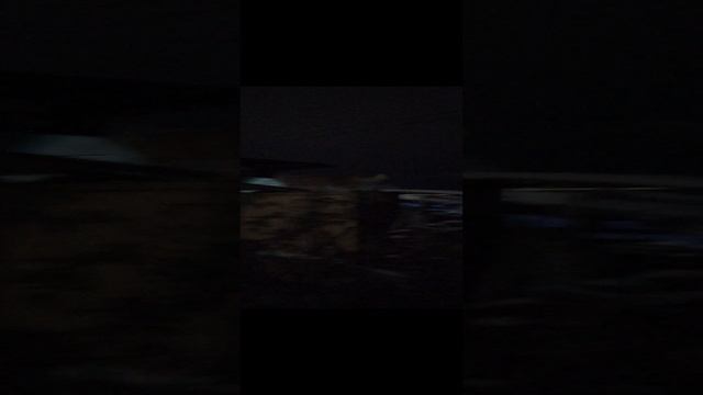 VID_20241205_185134.3gp
