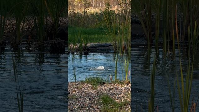 Экоотель Романов лес - добро пожаловать в тепло и уют.