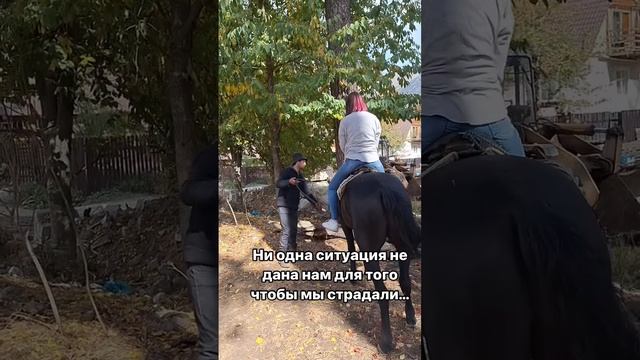 Жизнь -игра