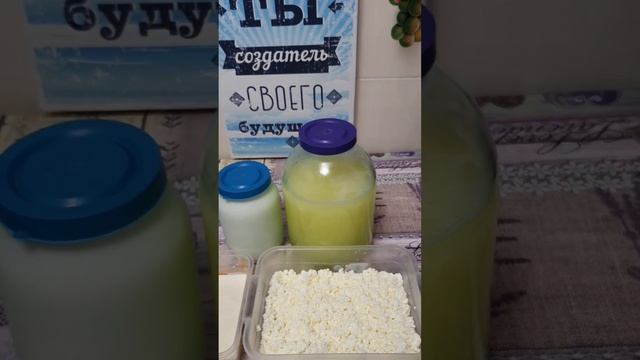 ✅️ СКОЛЬКО ПРОДУКЦИИ Я ПОЛУЧИЛ С 6Л ДОМАШНЕГО МОЛОКА🤯 ДОМАШНИЙ МАКС😎 #домашниймакс #бог