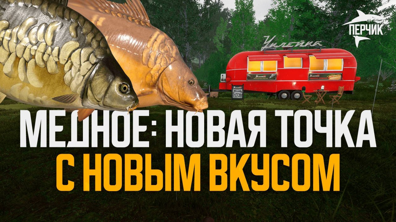 700-800 серебра в час. Новая точка на Медном ● Русская рыбалка 4 ● Перчик РР4