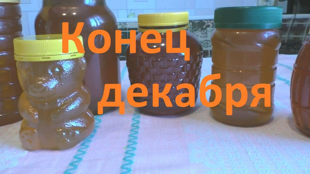 Откуда зимой берется жидкий мед