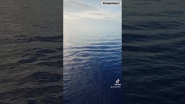 1000035697.mp4