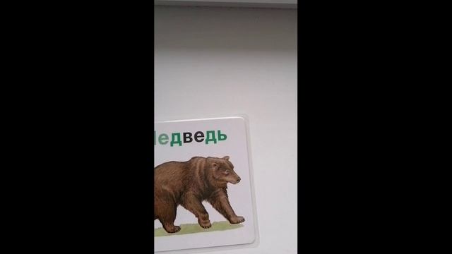 Буква М