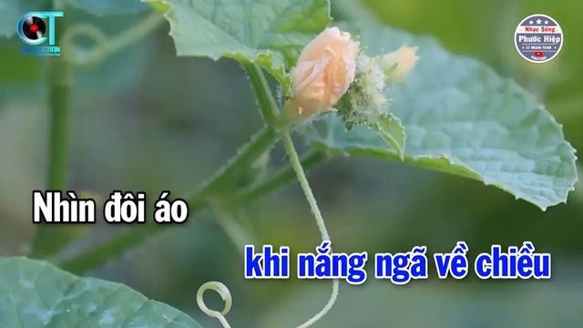 Karaoke Áo Em Chưa Mặc Một Lần
