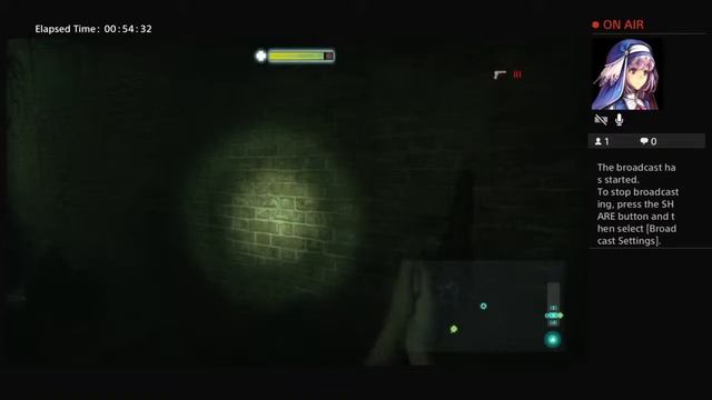 Playing my new hitman maps