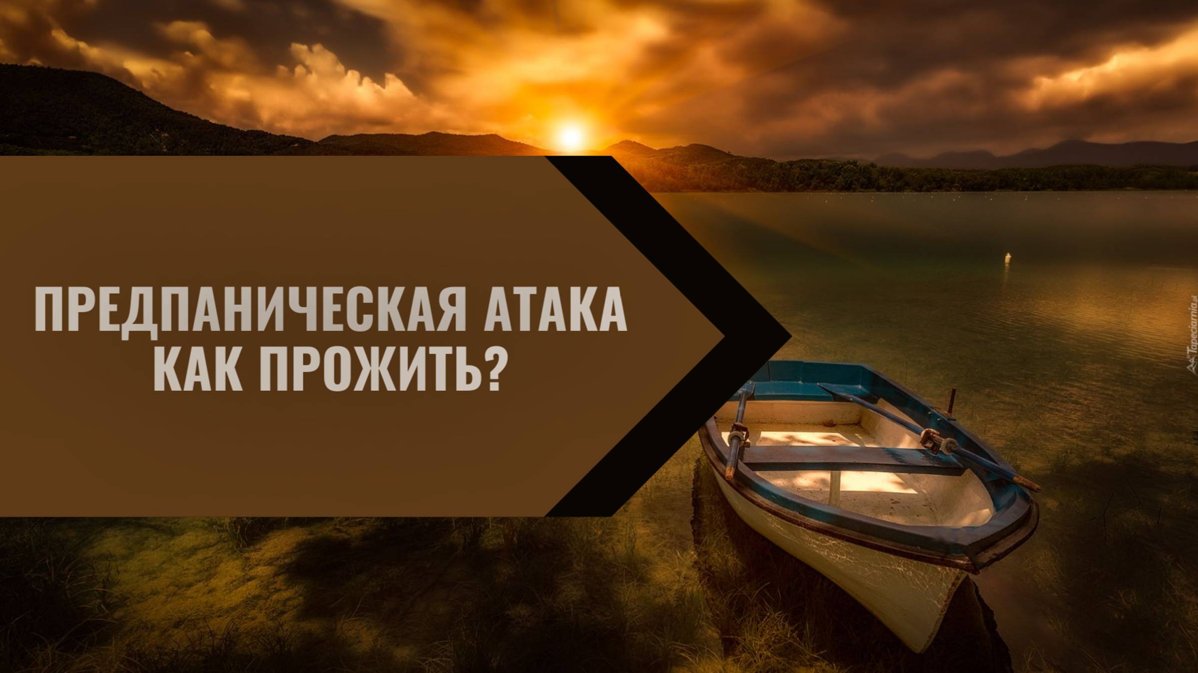 Предпаническая атака, как прожить? Елена П.