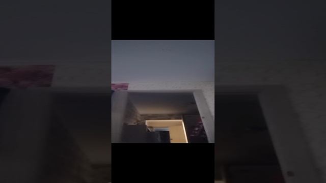 VID_20241125_090237.mp45аооа