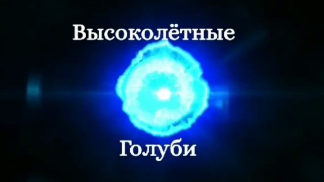 Обзор 10 пород высоколётных голубей.Часть 1