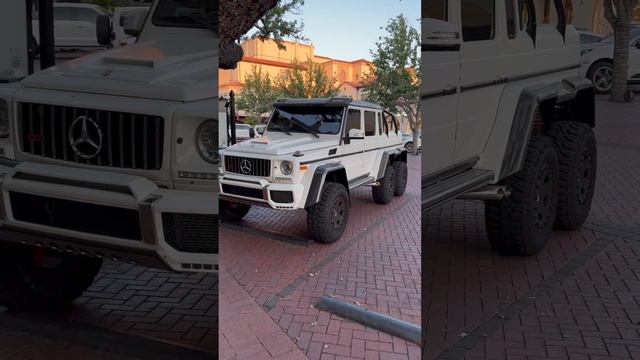 6x6 AM G Wagon In The Wild