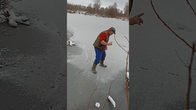 Опасный выход на первый лëд #пчела #пчелосемья #пасека #мед #мёд #матка #улей #деревня #природа