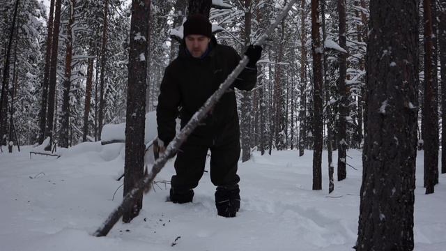 Уехал с палаткой в зимний лес. Пожрал, поспал и обратно!