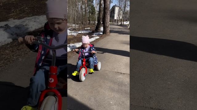 Прогулка по лесу 🌳  🌳 🌳