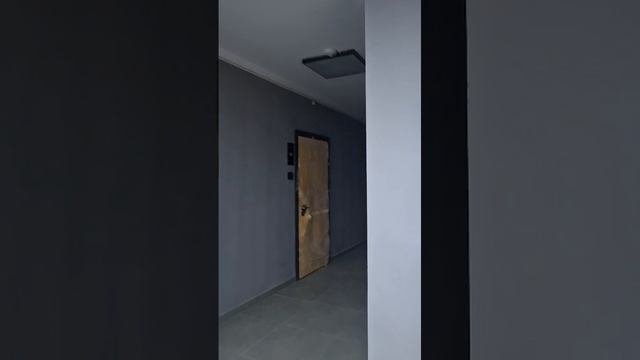 VID-20241205-WA0033.mp4