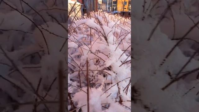 VID_20241204_164146_368.mp4