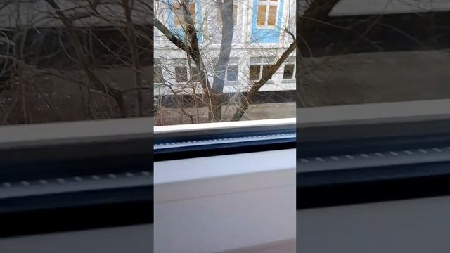 1000021813.mp4