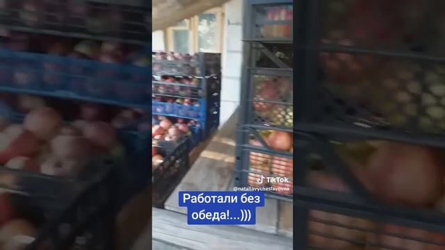 Отчёт о проделанной работе...)))