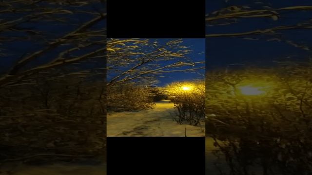 VID_20241015_160411.mp4 Елена Дружиненко Воркута