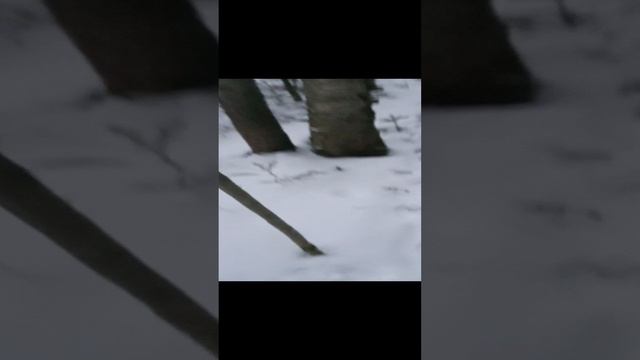 1000015880.mp4