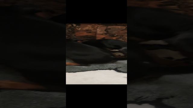 1000032405.mp4