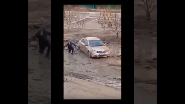 Приколы с авто