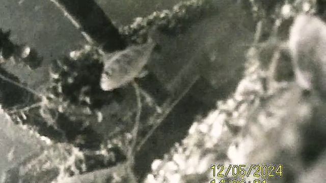 1000034578.mp4Волга гл.4м.05.12.2024г.