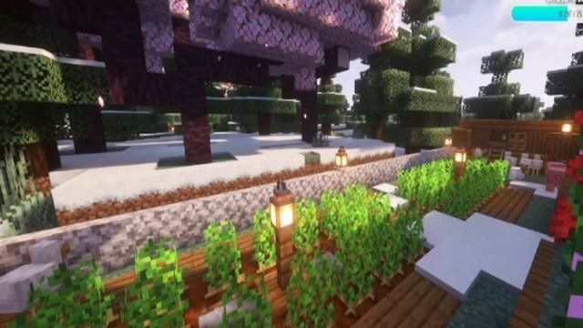 bandicam 2024-12-06 00-43-07-386