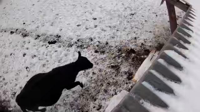 Фермерское дело