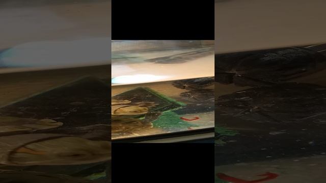 VID_20241205_184211.mp4