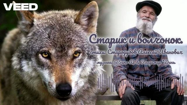Старик и волчонок. Подлинная история.[chanson]