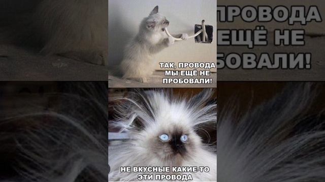 ##анекдот #анекдоты #приколы #прикол