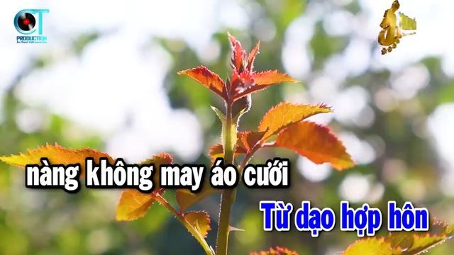 Karaoke Những Đồi Hoa Sim Tone Nam
