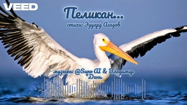 Эдуард Асадов - "Пеликан" [ballad]