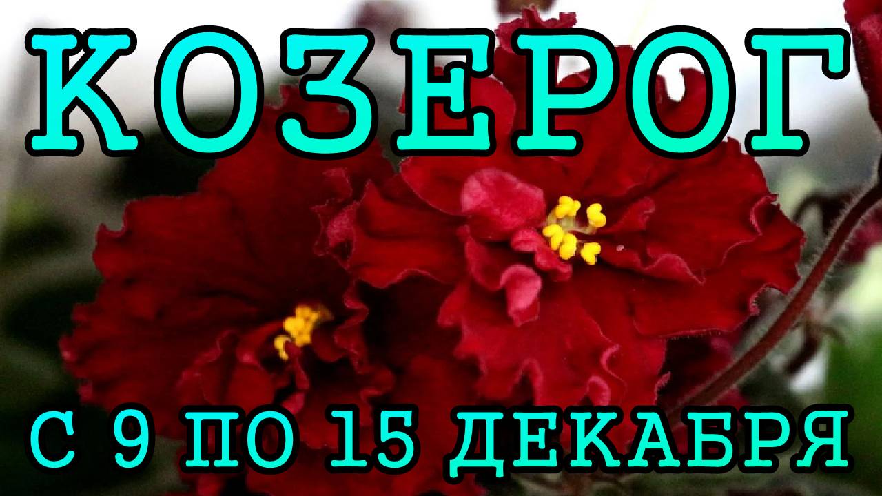 КОЗЕРОГ таро прогноз на неделю с 9 по 15 ДЕКАБРЯ 2024 года.