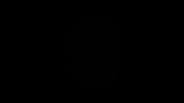 scene_output.mp4