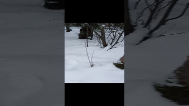 1000015881.mp4
