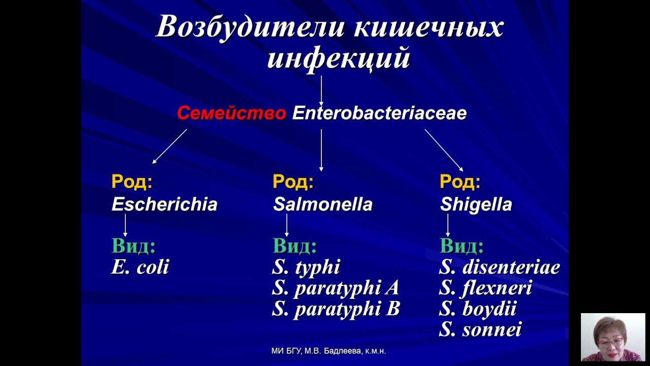 Возбудители бактериальных и вирусных инфекций (Бадлеева М.В.) - 1 лекция