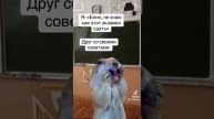 приколы для настроения
