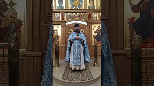 Введение во храм Пресвятой Богородицы. 3 значения праздника. Проповедь о. Андрея. 4.12.24