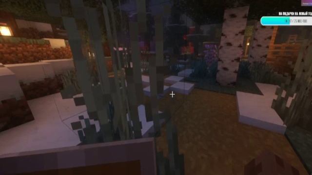 bandicam 2024-12-06 00-19-43-628