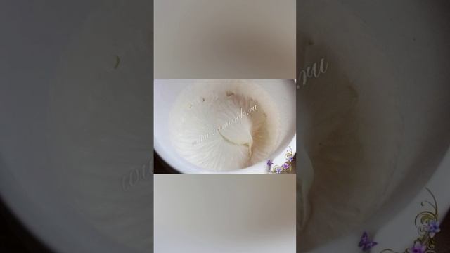 Тopт 🎂 из печенья 🍪 бeз выпeчки 😅 c вишнeй 🍒.mp4