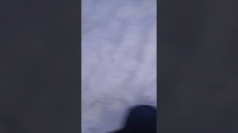ж*** в школе