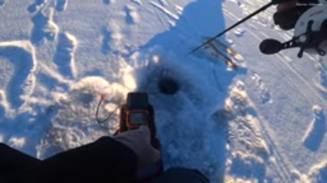 рыбалка зимой на подергушку с балонсиром
