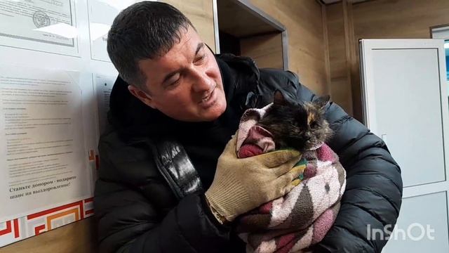 Всему вопреки спасли с женой кошку от гибели.