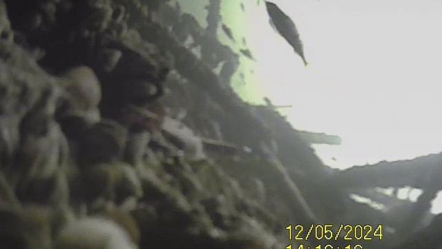 1000034573.mp4Волга гл 4м 05 12.2024г.