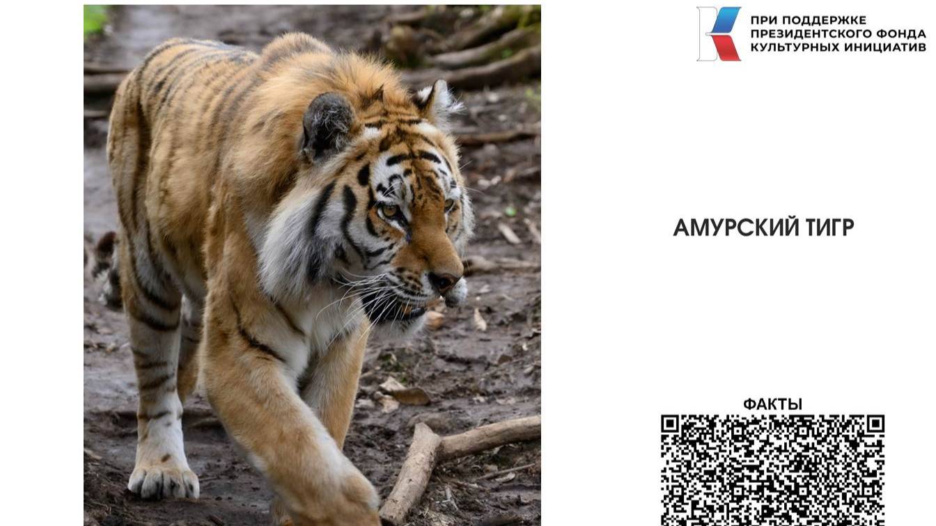 Фотовыставка "Встречи в пути" автора В. Чебанова