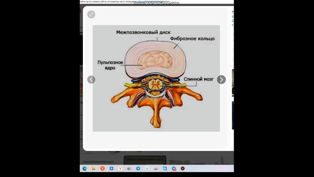 1)Строение МП диска.