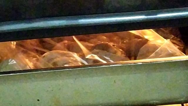 Голени куриные в духовке в пакете