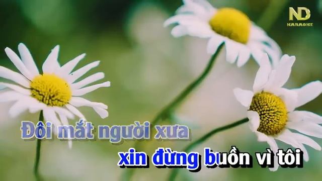 Karaoke Đôi Mắt Người Xưa Tone Nam